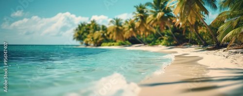 Tranquil clear beach with palm trees and calming waves.