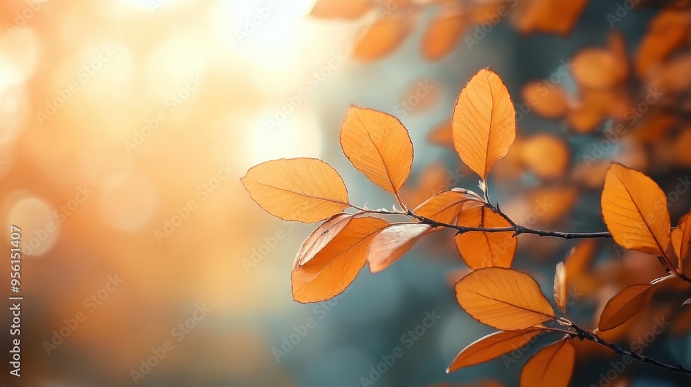 A close-up of orange foliage against a soft, blurred background, ideal for creating autumn-themed imagery --ar 16:9 --v 6.1 Job ID: 46d3a63e-8cfa-41e0-8a97-355246d97bc2 A close-up of orange foliage against a soft, blurred background, ideal for creating autumn-themed imagery --ar 16:9 --v 6.1 Job ID: 46d3a63e-8cfa-41e0-8a97-355246d97bc2