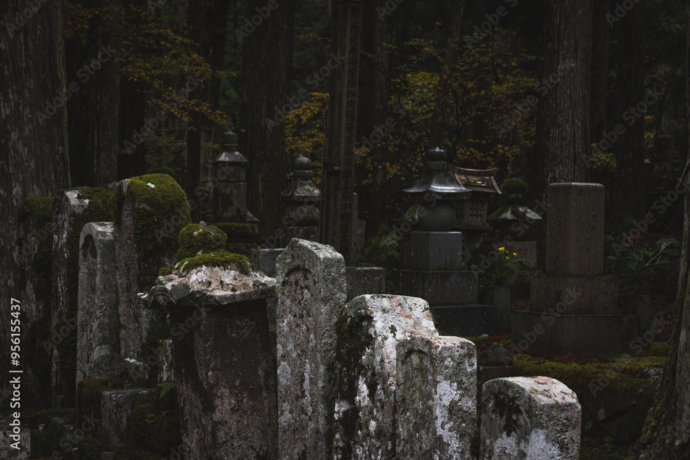 Detalle del cementerio budista de Koyasan en Japón. Detalle del cementerio budista de Koyasan en Japón.