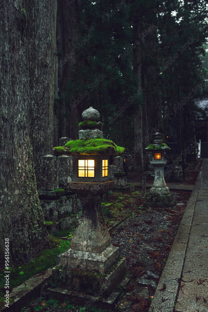 Detalle del cementerio budista de Koyasan en Japón. Detalle del cementerio budista de Koyasan en Japón.