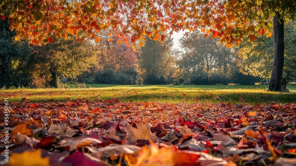 A tranquil park scene in autumn
