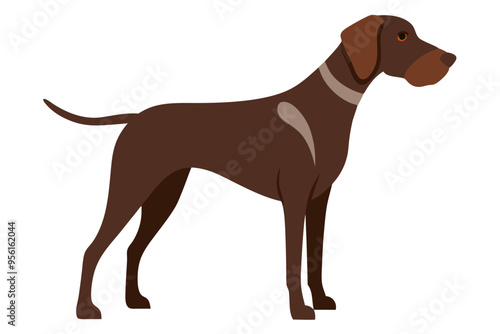 German Shorthaired Pointer Vector Illustration Clipart - Cute Dog Art Design photo