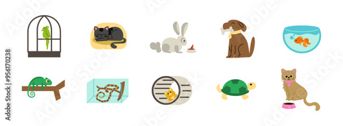 Pet flat illustration set. Include of pets, animal, bird, cat, rabbit, dog, fish, turtle, hamster, goldfish. Vector illustration isolated transparent background