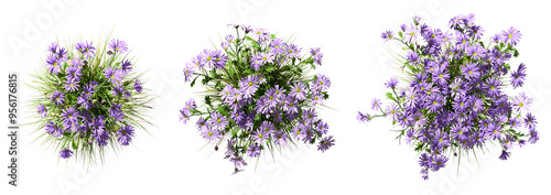 Top view violet flowery gardening ornamental set isolate on transparent backgrounds 3d rendering png