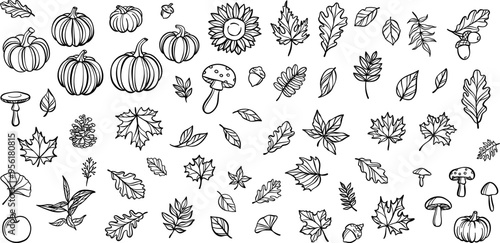 Cute autumn doodle elements, clip art illsutration set with leaves and pumpkins, isolated