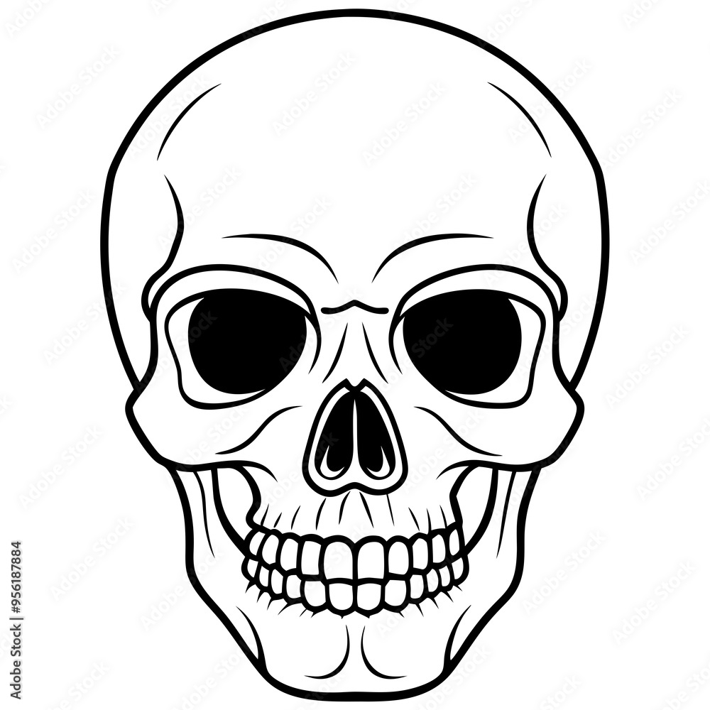 Fototapeta premium vector illustration of skull