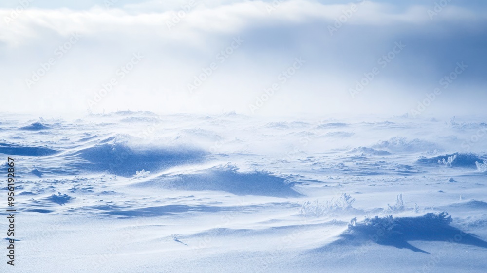 Snowy Landscape with Blowing Snow Snowy Landscape with Blowing Snow