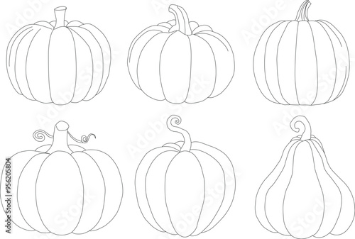 A set of isolated six unique pumpkins outlines. Halloween or Thankgiving concept.