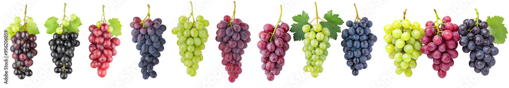 Colorful purple, pink, and green grapes, isolated on white, clipping path, full depth of field Colorful purple, pink, and green grapes, isolated on white, clipping path, full depth of field
