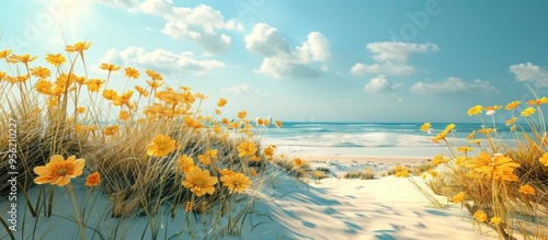 Yellow flowers in full bloom on a beach with plenty of open copy space image photo