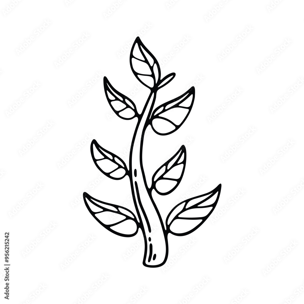 A black and white sketch of a leafy branch with multiple leaves sprouting from a curving stem. A black and white sketch of a leafy branch with multiple leaves sprouting from a curving stem.