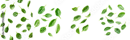 Isolated Falling Spinach on White Background, Clipping Path, Full Depth