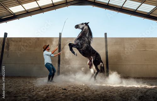 Man training a rearing horse during a dressage session in an indoor arena