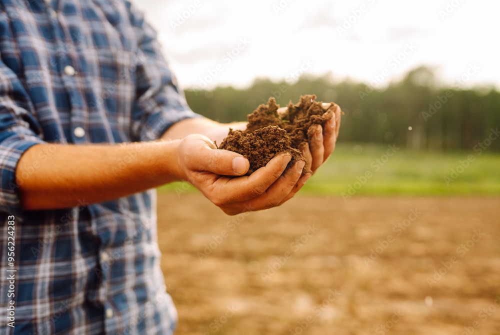 A person kneeling on a farm field analyzing soil quality in a rural landscape. Garden field ground fertile concept. A person kneeling on a farm field analyzing soil quality in a rural landscape. Garden field ground fertile concept.