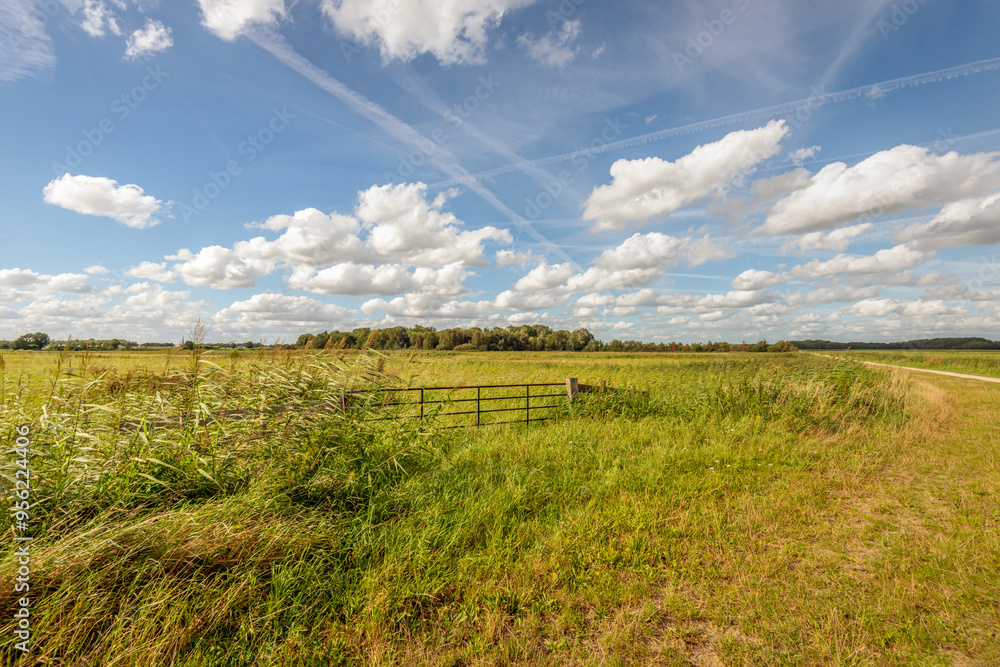 Nature reserve with an iron gate. Large white cumulus clouds hang in the blue sky above the landscape. The photo was taken in the summer season in the Dutch province of North Brabant. Nature reserve with an iron gate. Large white cumulus clouds hang in the blue sky above the landscape. The photo was taken in the summer season in the Dutch province of North Brabant.