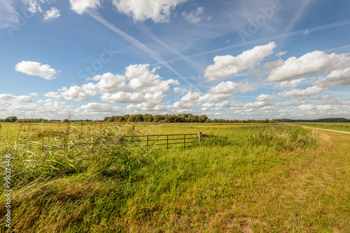 Obraz na płótnie Nature reserve with an iron gate. Large white cumulus clouds hang in the blue sky above the landscape. The photo was taken in the summer season in the Dutch province of North Brabant. w salonie