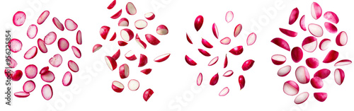 Isolated falling Radish slice with full depth of field, clipping path, white background