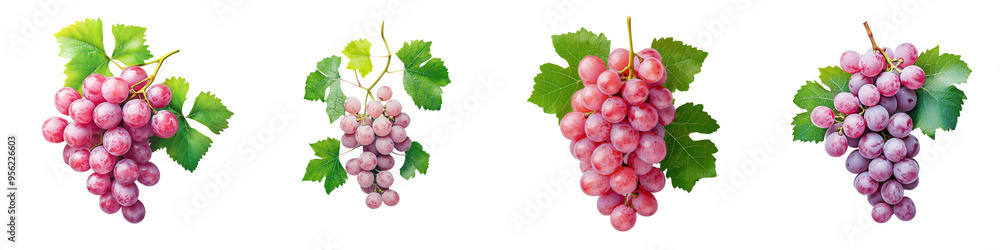 Fototapeta premium RED GRAPE, isolated on WHITE, clipping path, full depth of field