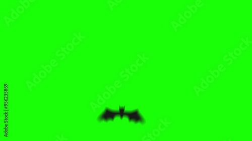 A spooky 2D video transition featuring a black bat flying across the screen. Perfect for Halloween-themed projects, adding a dark and eerie touch.