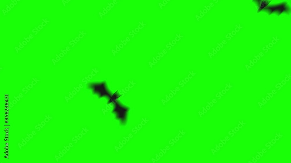 A spooky 2D video transition featuring a black bat flying across the screen. Perfect for Halloween-themed projects, adding a dark and eerie touch.