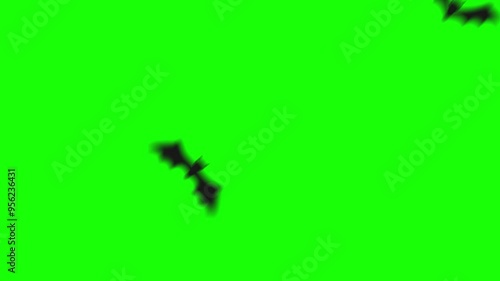 A spooky 2D video transition featuring a black bat flying across the screen. Perfect for Halloween-themed projects, adding a dark and eerie touch.