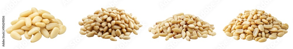 A photograph of cedar nuts with a full depth of field, isolated on a white background A photograph of cedar nuts with a full depth of field, isolated on a white background