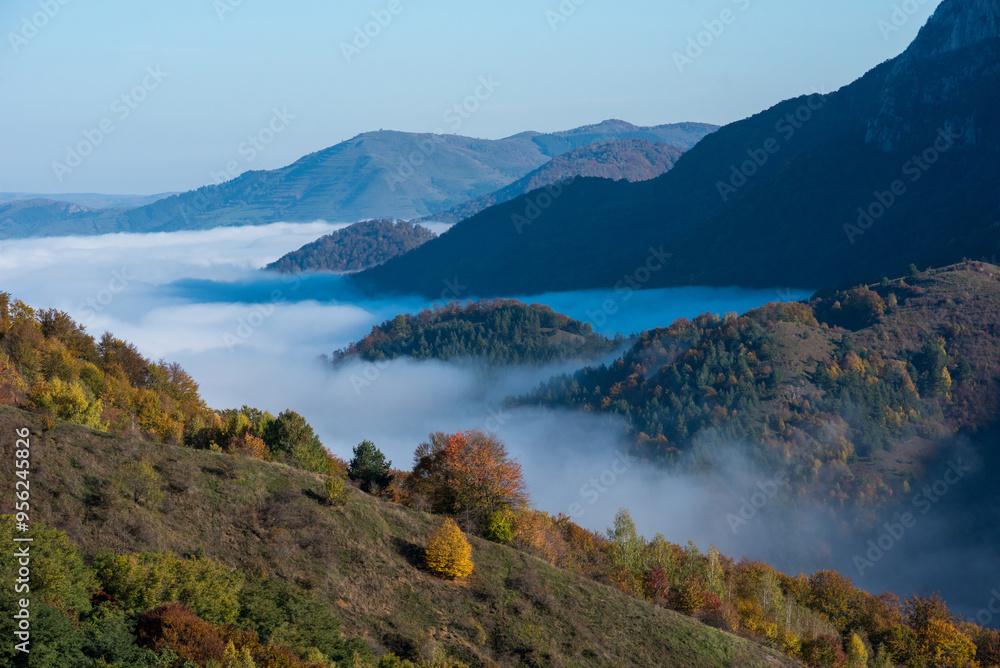 Obraz premium Morning mist in the mountains in a sunny autumn day