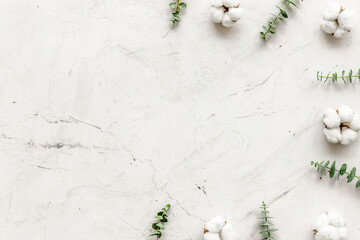 Flowers border with green eucalyptus branches and dry cotton flowers on white stone background top view space for text