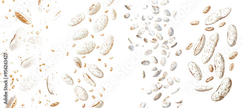 A falling bean, isolated on a white background, in full focus