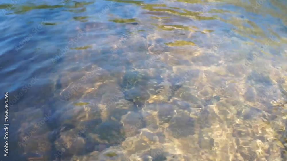 calm river water, fresh, nature, reflection calm river water, fresh, nature, reflection