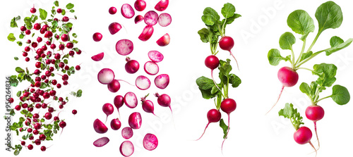 Wallpaper Mural Intense depth of field with an isolated falling radishes on a white background Torontodigital.ca