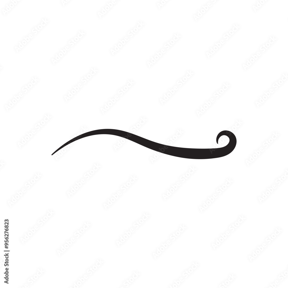 Swash Icon Swash Icon