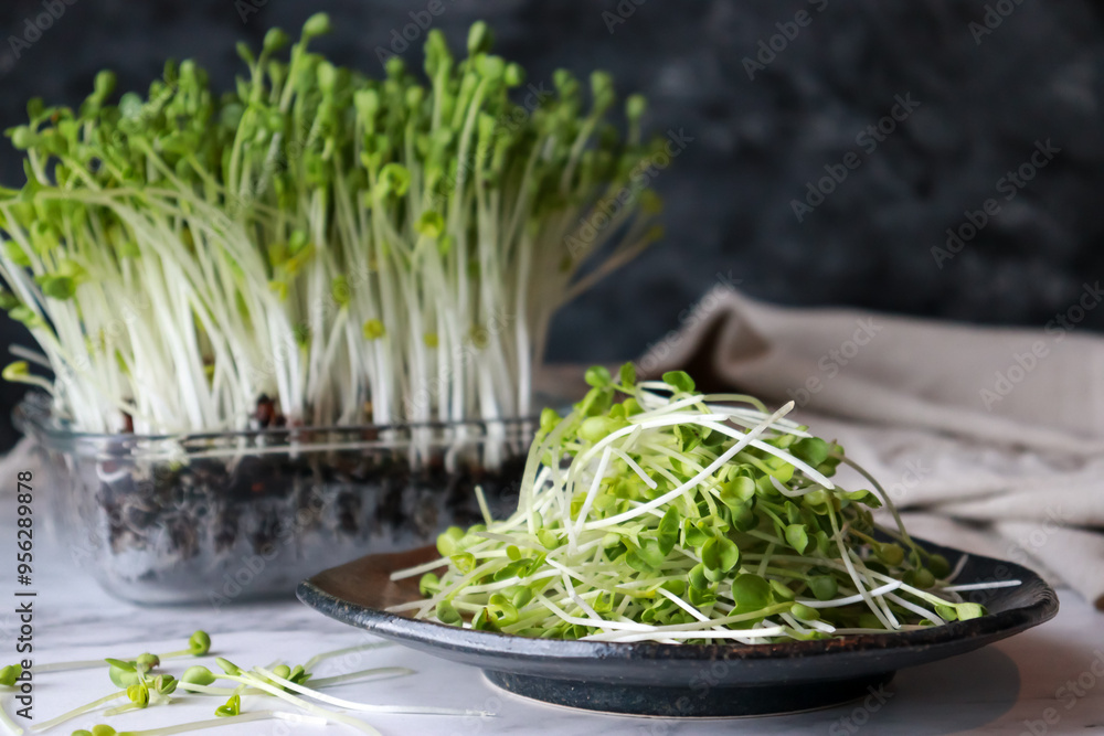 Microgreen or radish sprouts, super foods high in antioxidants. Microgreen or radish sprouts, super foods high in antioxidants.