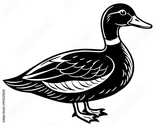 Black and white duck on white background