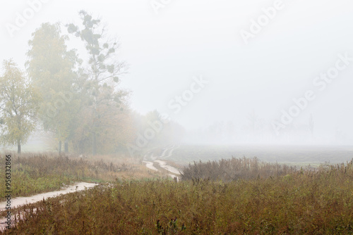 Autumn foggy landscape photo