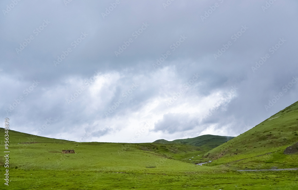 Natural scenery of alpine grassland beside National Highway 318 of Sichuan-Tibet Highway Natural scenery of alpine grassland beside National Highway 318 of Sichuan-Tibet Highway