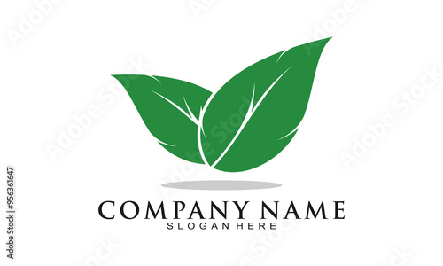 Leaves illustration logo design vector