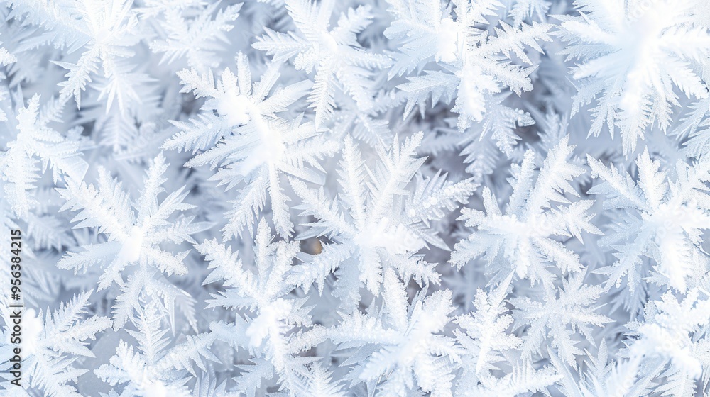 A stunning close-up of intricate frost patterns, showcasing delicate designs on a white surface. Perfect for winter themes.