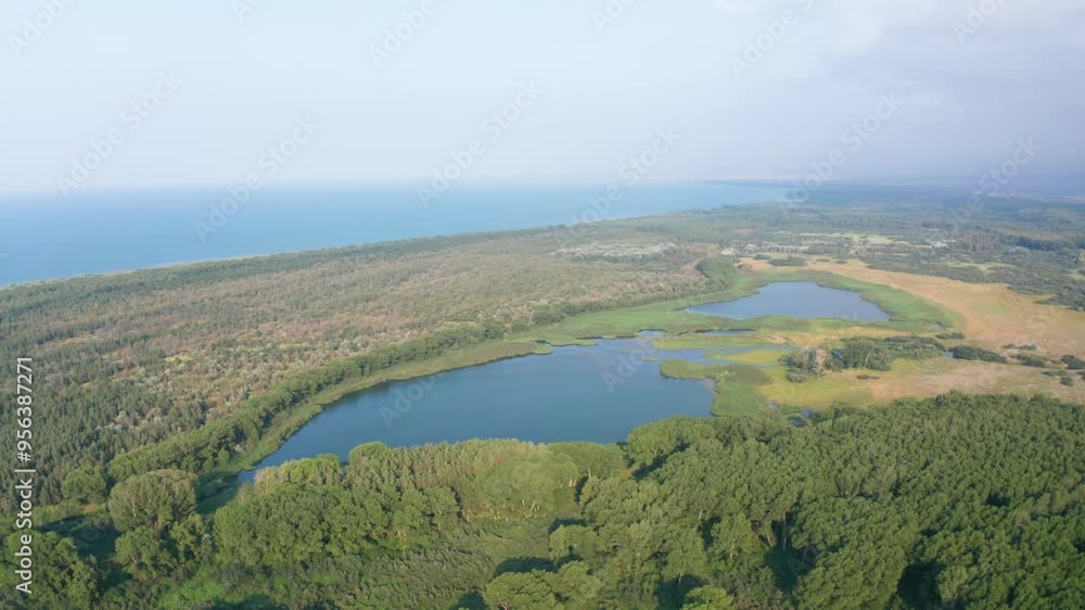 Drone shot lake and forest. Aerial view lake and green trees. Ecology problem. Ecology concept of polluted nature. Water supply problems and water deficit, ecology and environmental. Drone shot lake and forest. Aerial view lake and green trees. Ecology problem. Ecology concept of polluted nature. Water supply problems and water deficit, ecology and environmental.