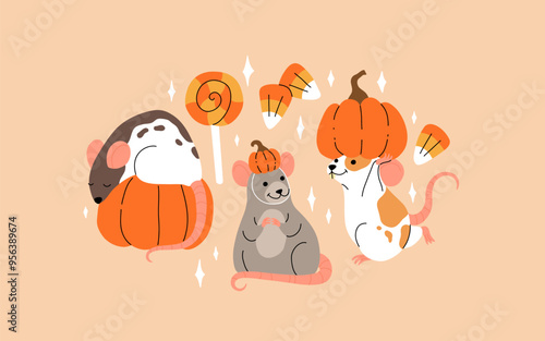Vector set of mouse characters, Halloween kawaii cartoon style. Rats dressed up in pumpkin hat, Mouse with pumpkin and candies. Halloween and thanksgiving cartoon illustration