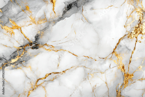 White Marble Gold Veins.