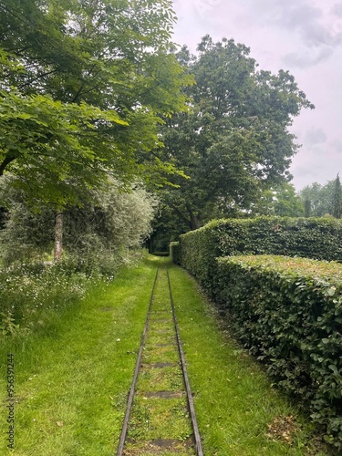 railway in the forest