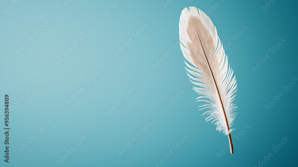 Obraz premium White Feather on Blue: A single white feather, gently suspended against a serene blue backdrop, evokes a sense of lightness, freedom, and the delicate beauty of nature. 