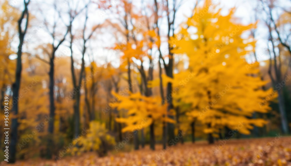 Obraz premium Dreamy autumn scene, blurred autumn forest background