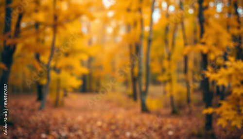 Dreamy autumn scene, blurred autumn forest background