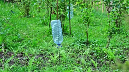 Homemade DIY Rodent Mole Repeller Made of Plastic PET Bottle photo