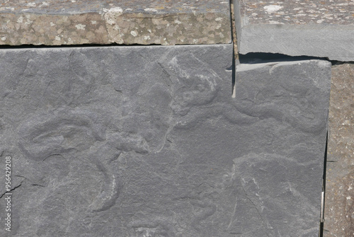 Fossils trace on slabs of Liscannor flagstones