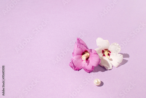 Exotic, wild, summer flowers on pastel background, minimalist floral composition with creative copy space.