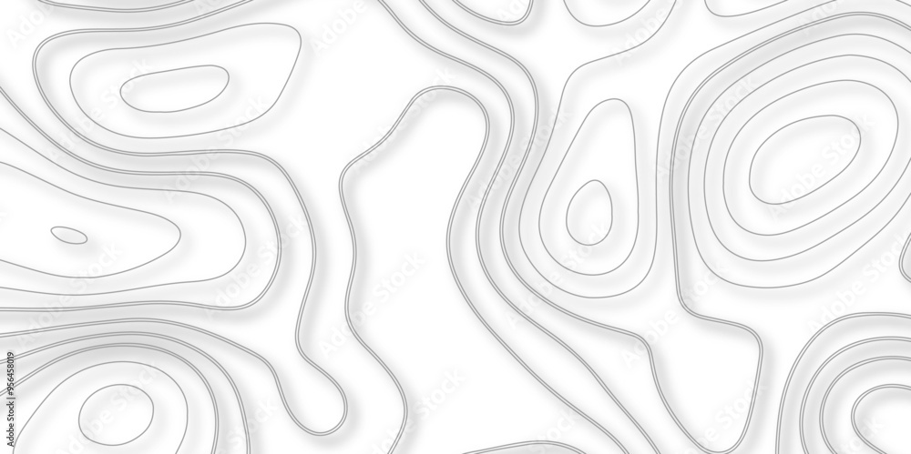 A Detailed Study of How Topography and Topology Combine to Create Vector Maps with Intricate Backgrounds for Modern Cartography A Detailed Study of How Topography and Topology Combine to Create Vector Maps with Intricate Backgrounds for Modern Cartography