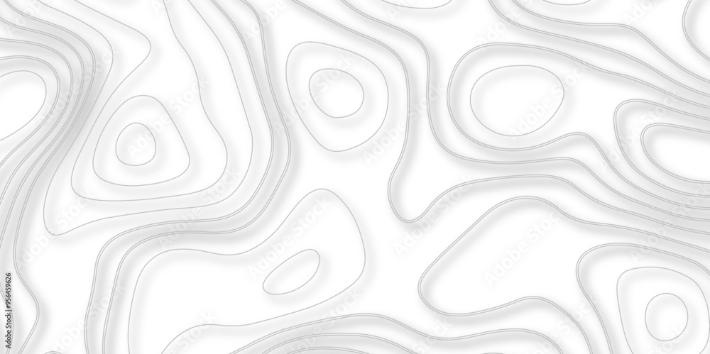A Comprehensive Exploration of Topography and Topology in the Development of Vector-Based Maps and Their Underlying Background Structures A Comprehensive Exploration of Topography and Topology in the Development of Vector-Based Maps and Their Underlying Background Structures